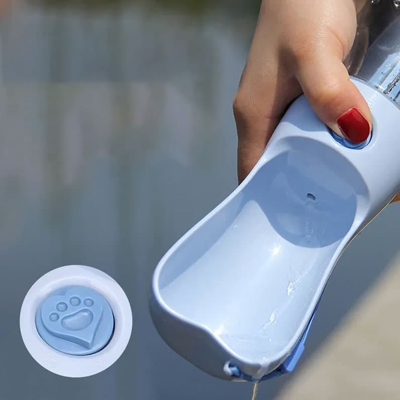 sipioo-water-bottle